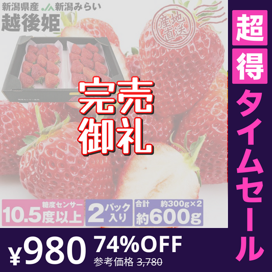【超得ハイパーSALE】いちご 越後姫 約600g 糖度センサー10.5度以上 約300g×2パック 新潟県産 産地直送 イチゴ 苺 ブランド フルーツ 果物 産直 冷蔵便