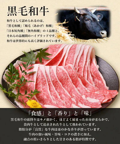 【超得ハイパーSALE】黒毛和牛 厳選 Ａ5等級 すき焼き 300g (2～3人前) お取り寄せグルメ 送料無料 ギフトや プレゼント にもおすすめ！ ギフト 牛肉 肉 黒毛和牛 霜降り スライス すき焼き しゃぶしゃぶ 300g (300g×1) お試し 送料無料 お取り寄せグルメ ギフト 贈り物 通販 冷凍食品