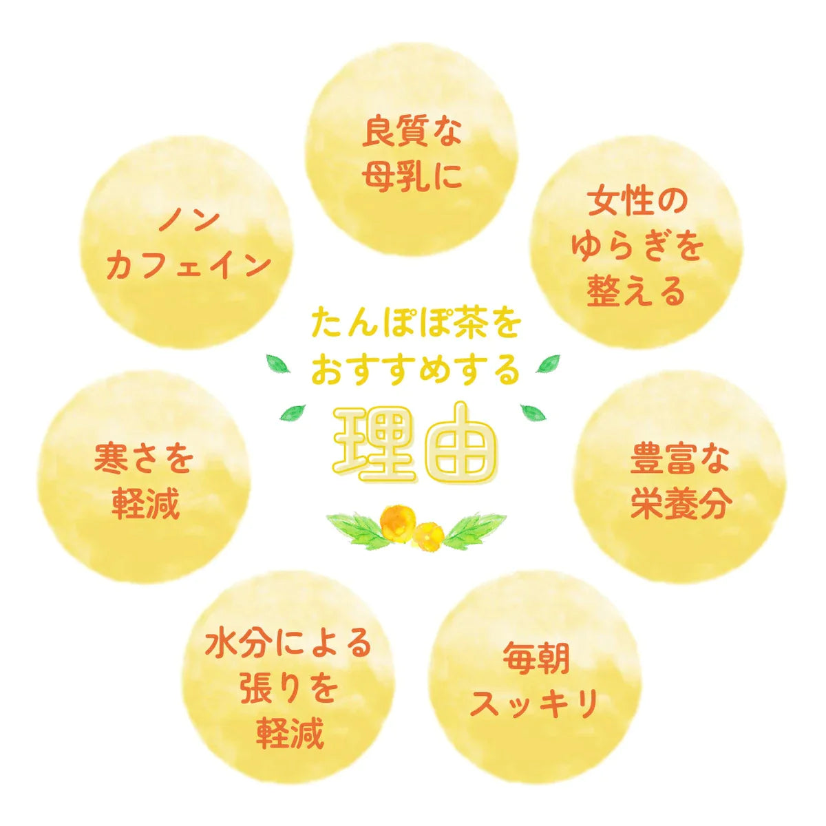 健康家族 - たんぽぽ 楽天市場】【楽天1位】有機たんぽぽブレンドティー 2g×30包 送料