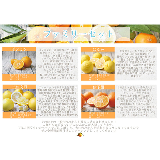 吉田みかん 詰め合わせ ファミリーセット 2kg