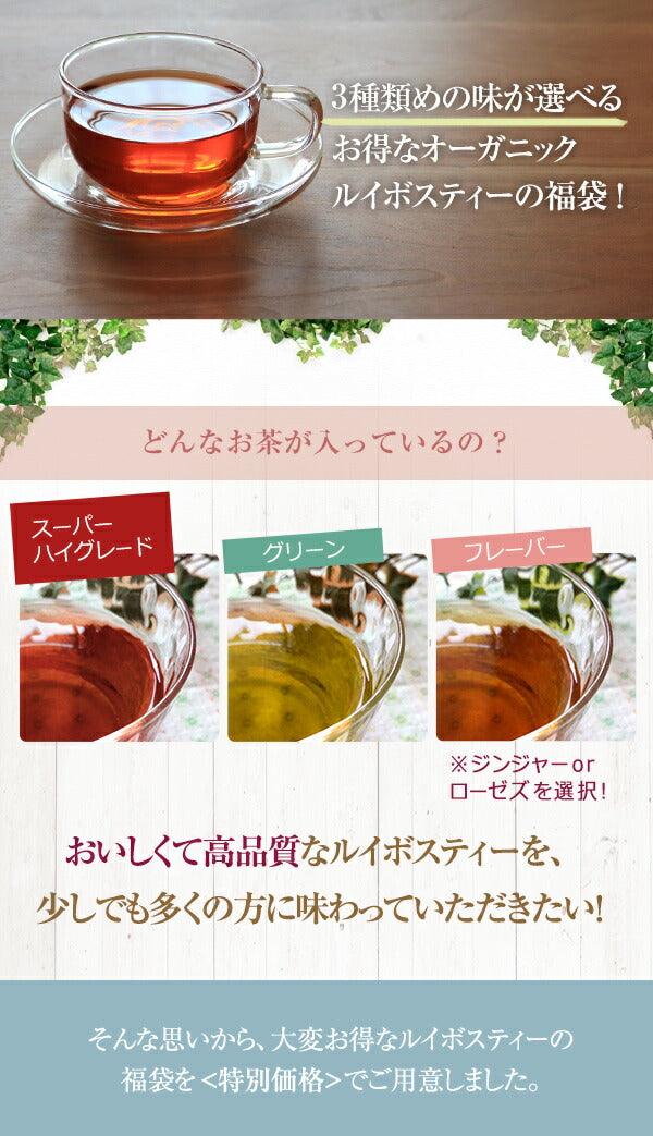 【※選択肢商品】有機JAS オーガニック・ルイボスティー福袋セット ティーバッグ 全50包m2 【送料無料】 ルイボス茶 選べる 1000円ポッキリ ハーブティー アイスでも美味しい ジンジャー ルイボスティ 温活 マタニティ カフェインレス ランキング ギフト