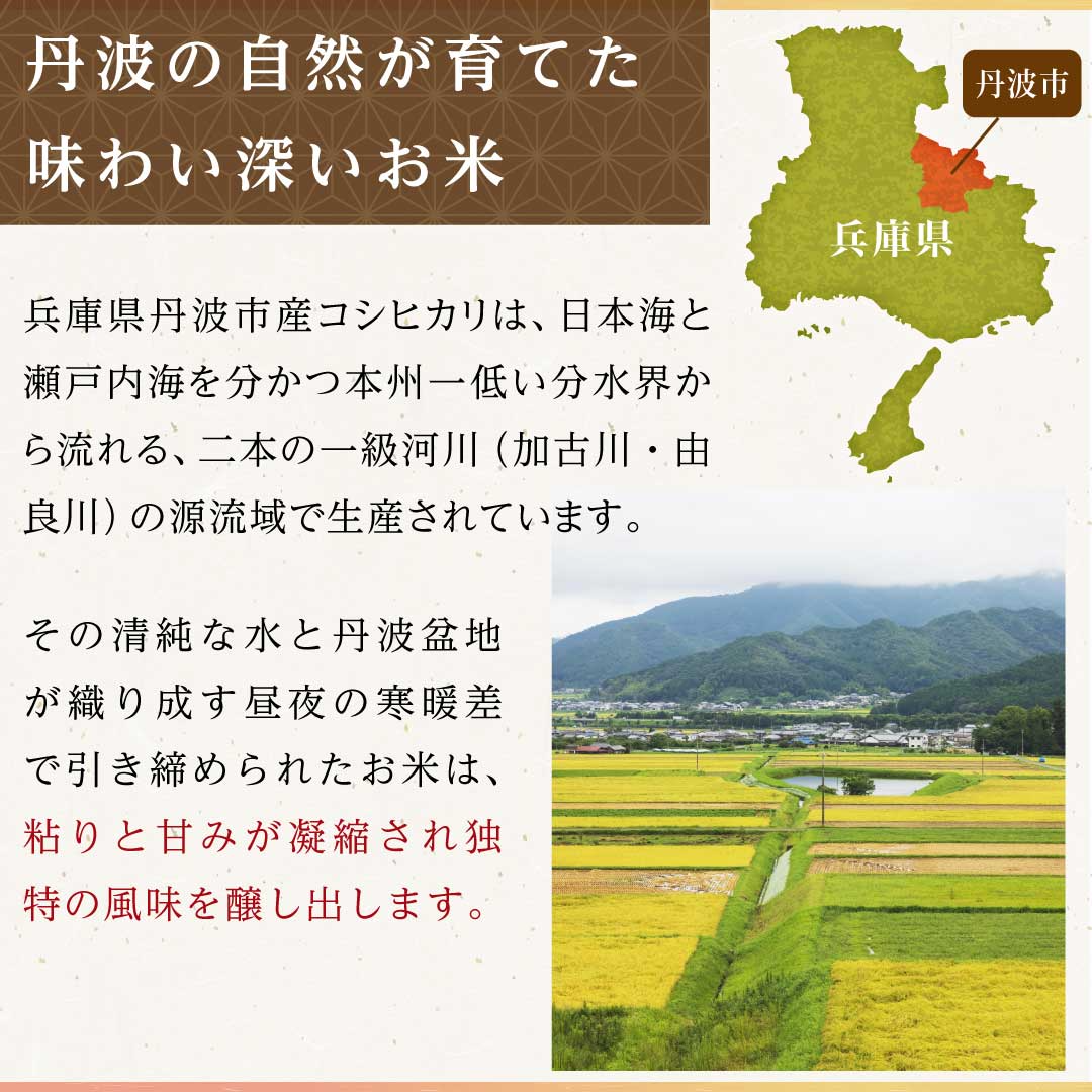米 精米 兵庫県 丹波市産 こしひかり 5kg 令和5年産 新米 お米 白米 おくさま印 国産 食品 ギフト 引っ越し 挨拶 出産 内祝い 母の日 父の日 お中元 お歳暮 結婚 快気 還暦 香典返し お年賀 送料無料