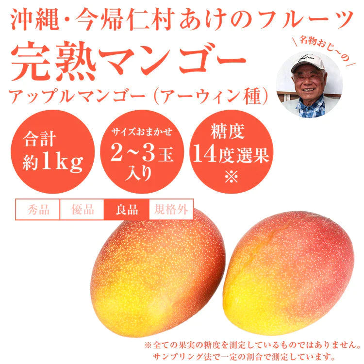 【カウシェうまいもん市場】マンゴー 沖縄 完熟マンゴー 良品 1kg 2～3玉 糖度14度選果 今帰仁村 産地直送 あけのフルーツ アップルマンゴー アーウィン種 常温便 同梱不可 指定日不可