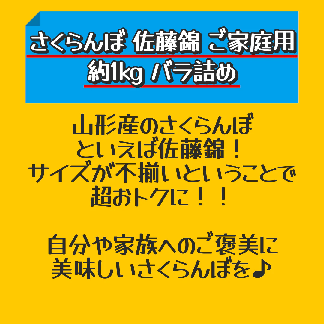 【予約商品　6月下旬〜7月下旬発送】 さくらんぼ 佐藤錦 ご家庭用 約1kg バラ詰め　【家計お助けSALE】