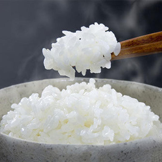 京丹後産 特別栽培米コシヒカリ５kg