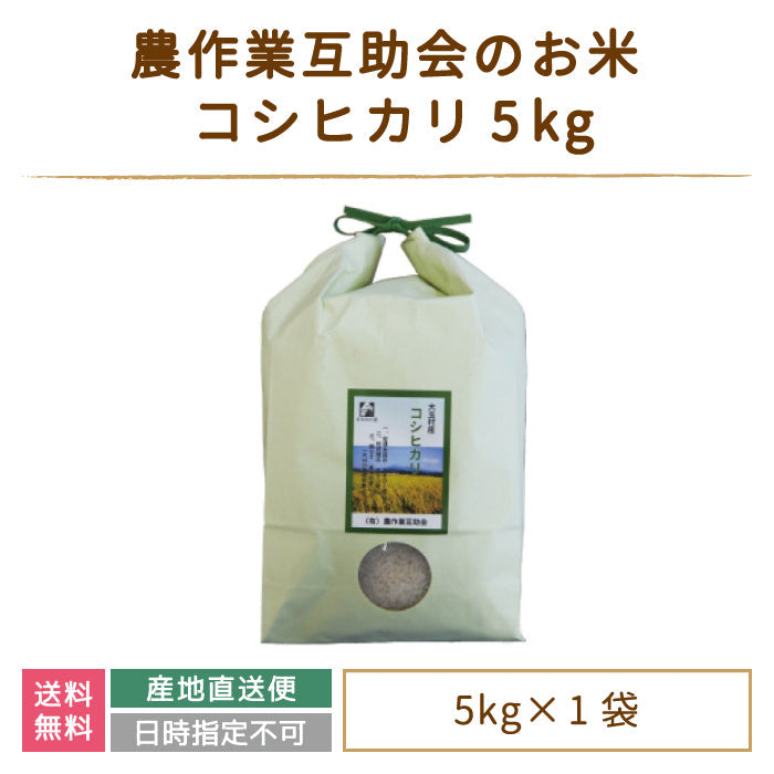 【3人シェア買いでお得】【令和4年産】【農業生産法人　農作業互助会のお米】 コシヒカリ5kg *