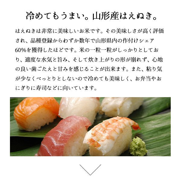 【5人シェア買いで5%OFF】米 10kg 山形産はえぬき 令和3年産 お米 10キロ（本州：送料無料）