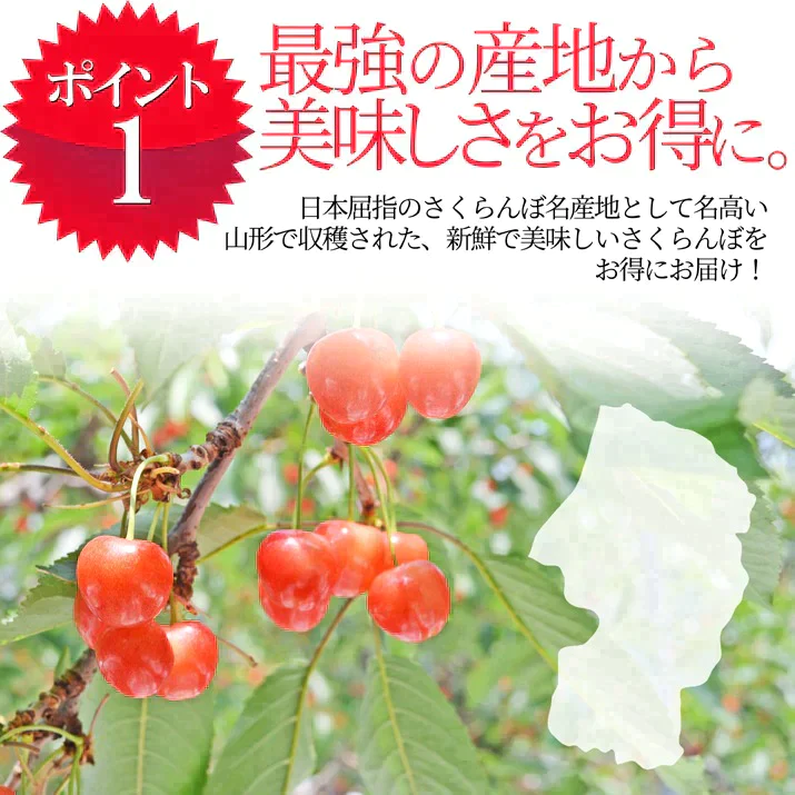 【6月下旬発送】 さくらんぼ 1kg お徳用 佐藤錦 or 紅秀峰 他 山形県産 バラ詰めお一人様2箱まで 家庭用 数量限定 産地直送 訳あり サイズ混合 送料無料 ※遠方へは別途送料がかかります 品種の指定はできません 果物 大特価