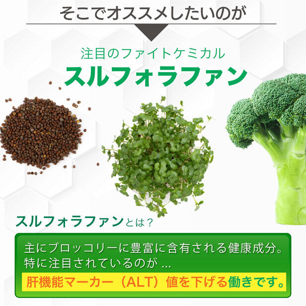 機能性表示食品 スルフォラファン 1袋 ( 60粒 ： １ヶ月分 ) 日本製 国産 ダイエット サプリ ALT値 スルフォラファン スルフォラファングルコシノレート 肝臓 タブレット 野菜 粒 脂肪肝 種 ブロッコリースプラウト サプリ