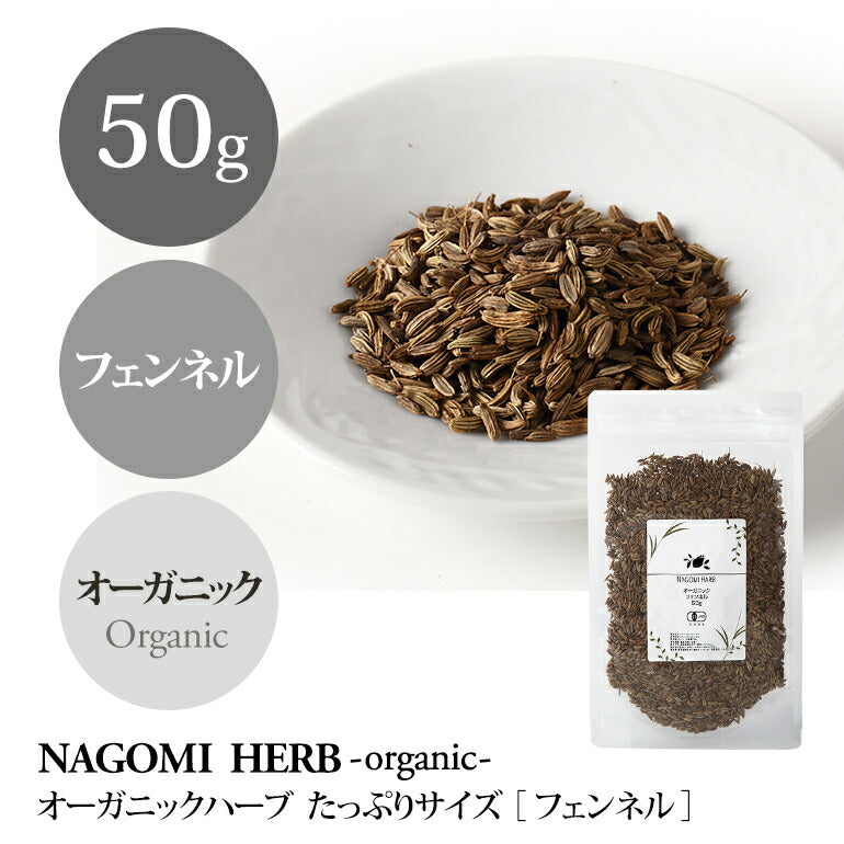 有機JAS オーガニック・ハーブ フェンネル 50g 【 ハーブティー ハーブ ドライハーブ 茶葉 スパイス カレー 香辛料 無農薬 お茶 フェンネルシード ホール 】
