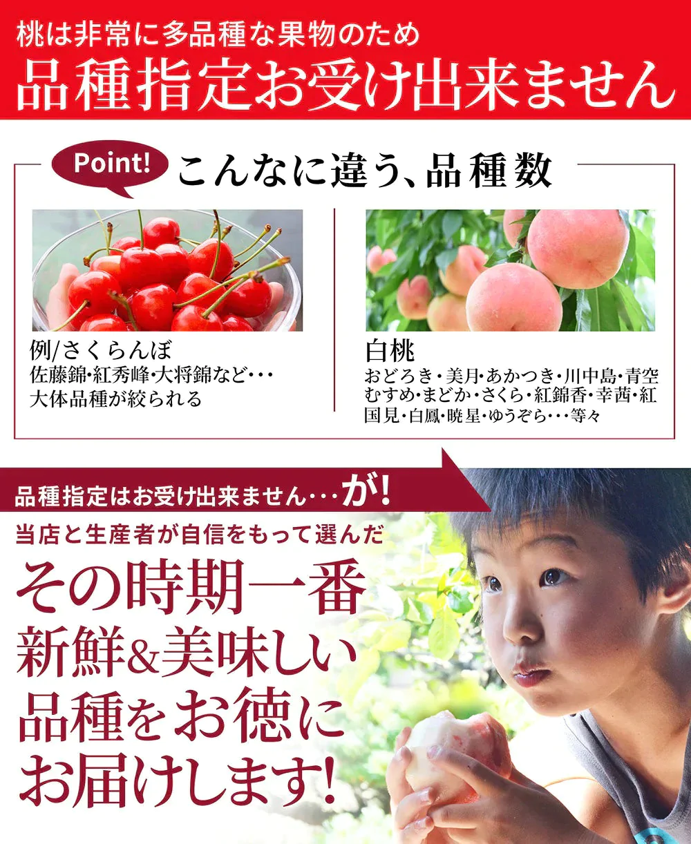 【8月上旬発送】 訳あり 山形 白桃 ２ｋｇ（６～１０玉前後）クール便 ！ちょっと訳あり桃 固い桃 柔らかい桃 を時期に応じてお届け 硬い桃 【品種指定不可】桃 送料無料 果物 フルーツ【エコ得SALE】