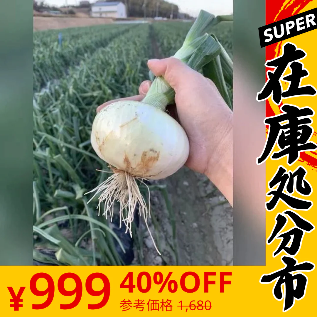 【SUPER在庫処分市】訳あり新玉ねぎ2kg🧅シャーロットオニオン今が旬 淡路島極熟玉葱 送料無料 たまねぎ タマネギ