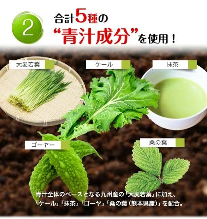 【超得ハイパーSALE】朝摘み もぎたて 青汁 大麦若葉 90g(3g×30包) 送料無料 美味しい 飲みやすい 青汁 乳酸菌 プラセンタ 食物繊維 ダイエット 甘い青汁《3-7営業日以内に出荷予定》