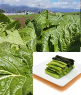 【信州餃子×野沢菜漬】野沢菜漬餃子30個×2パック　野沢菜一口餃子20個×2パック　　ぎょうざ / ギョーザ / 餃子 / 冷凍餃子 / ひとくち餃子 / 一口 /  野沢菜漬け / 漬物 / つけもの /  総菜 / 冷凍食品 / 100個 / おつまみ / 酒の肴 / 信州名物 / にんにく不使用 / 水城漬物工房 / コラボ / 限定 / 限定商品 / 送料無料 / ご当地 / 信州産 / 長野県 / 新規出店【特産品・ご当地特集】