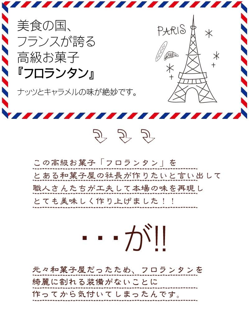 【限定30セット特別価格】和菓子屋さんが作った カチ割りフロランタン 270gx2袋