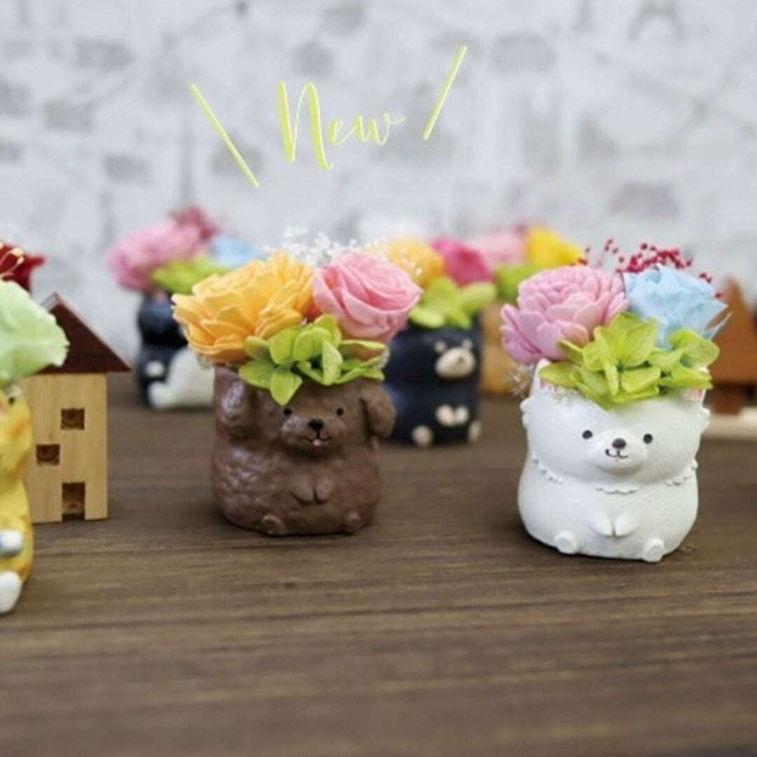 フラワーアレンジ プリザーブドフラワー わんこ&にゃんこ 【ミニチュアダックスA モカ】