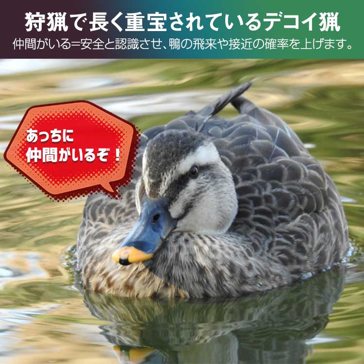 Flytec ボート RC 鴨 鴨猟 狩猟 デコイ デコイ猟 パワフル リアル ダブルモーター ラジコン 水遊び