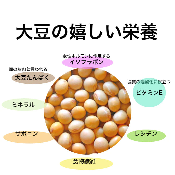 帯SOYちょこ35ｇ×8袋 送料無料 お菓子 生チョコ チョコ 大豆 乳アレルギー対応 ダイエット中 オススメ チャック付き袋 安心 プレゼントにもおすすめ。ビーガン ヴィーガン グルテンフリー ギフト
