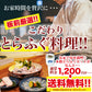 とらふぐ てっちり てっさ 唐揚げ ひれ 2～3人前セット