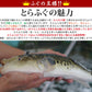 とらふぐ てっちり てっさ 唐揚げ ひれ 2～3人前セット