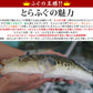 とらふぐ てっちり てっさ 唐揚げ ひれ 2～3人前セット