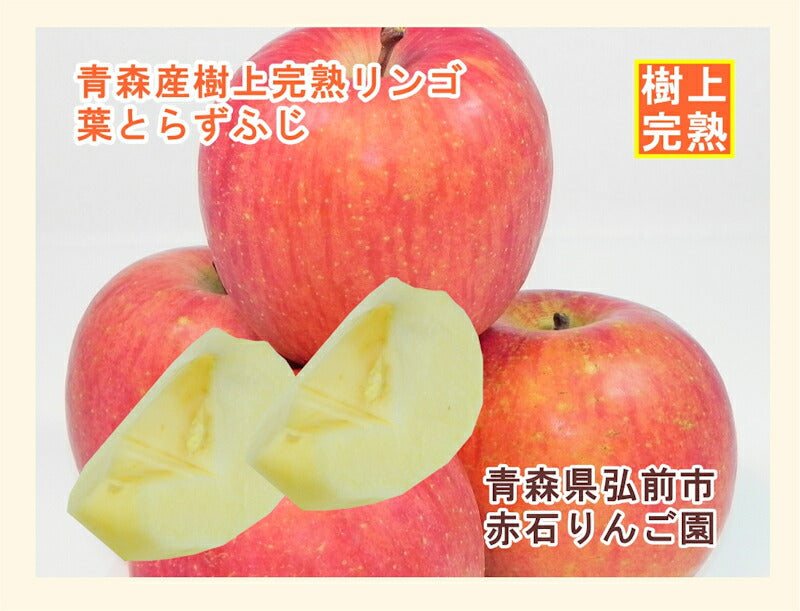 【フルーツ りんご 青森りんご 送料無料】青森県弘前市 赤石りんご園青森りんご 葉とらずふじ 5kg（12玉～20玉）通常品期間限定 樹上完熟りんご【リンゴ 果物 贈答品 ギフト】