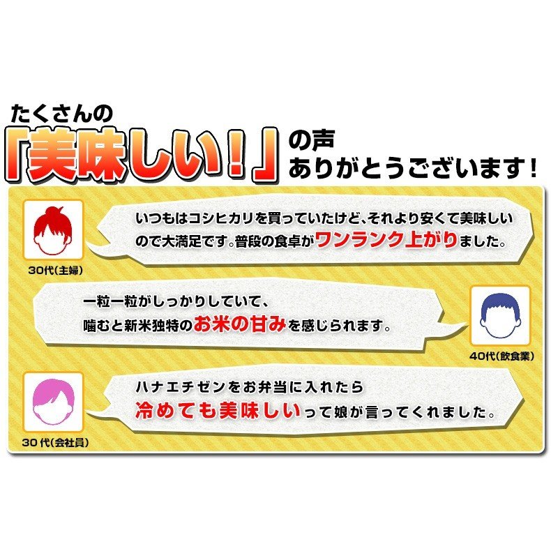 ハナエチゼン 白米 5kg 福井県産