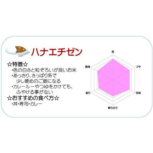 ハナエチゼン 白米 20kg(5kg×4) 福井県産