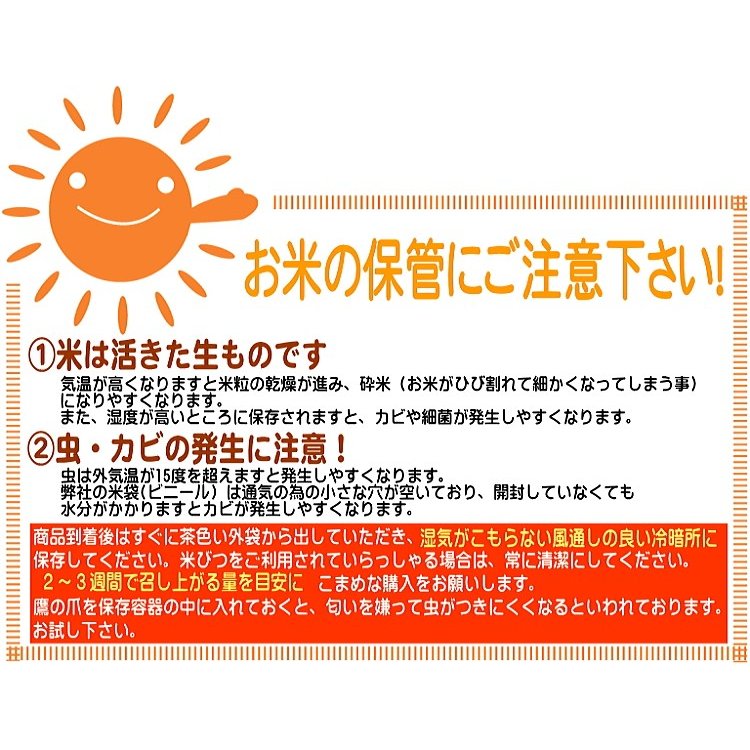 ハナエチゼン 白米 20kg(5kg×4) 福井県産