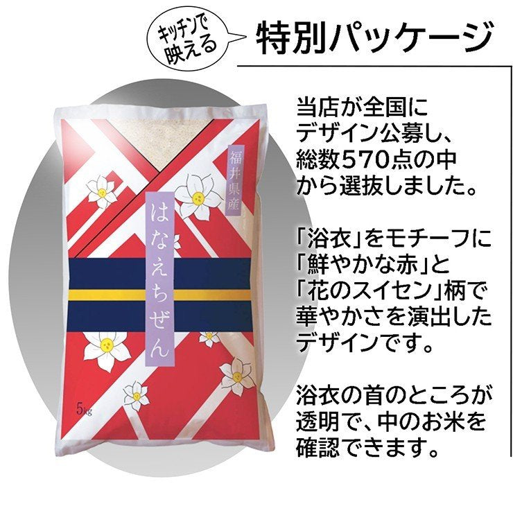 新米 ハナエチゼン 白米 10kg(5kg×2) 福井県産