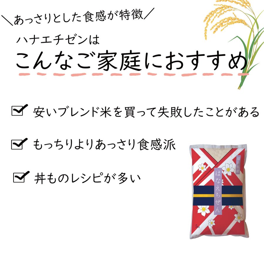 ハナエチゼン 白米 20kg(5kg×4) 福井県産