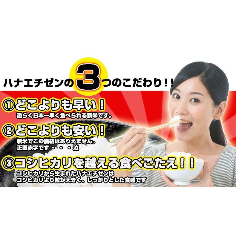 新米 ハナエチゼン 白米 10kg(5kg×2) 福井県産