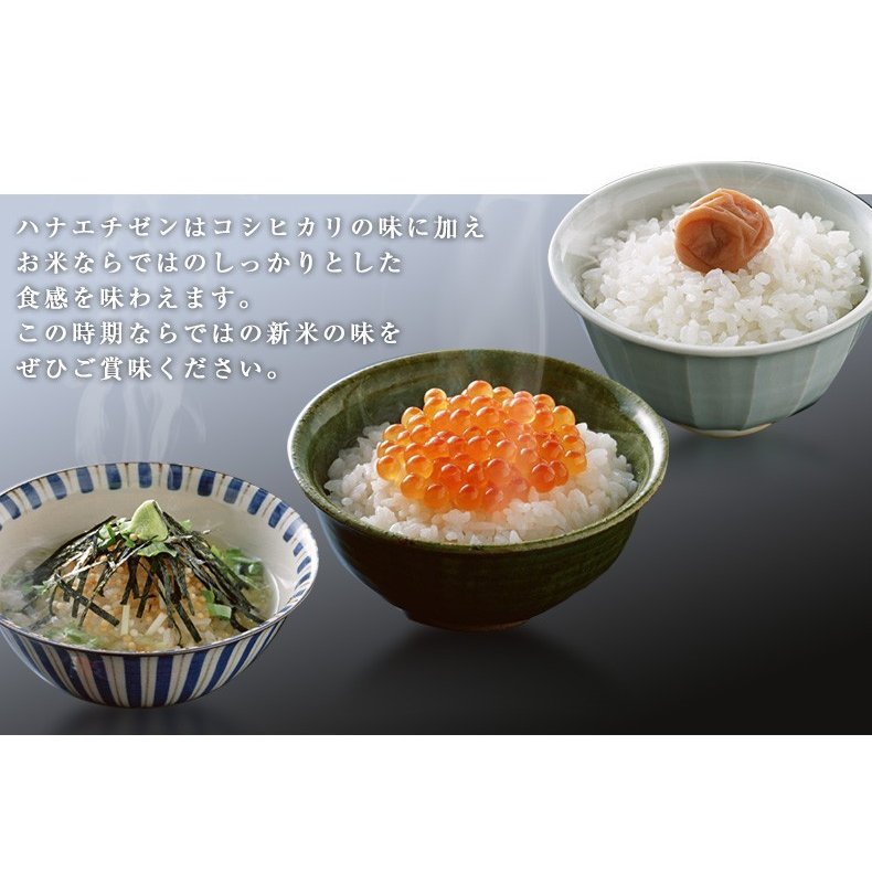 ハナエチゼン 白米 20kg(5kg×4) 福井県産
