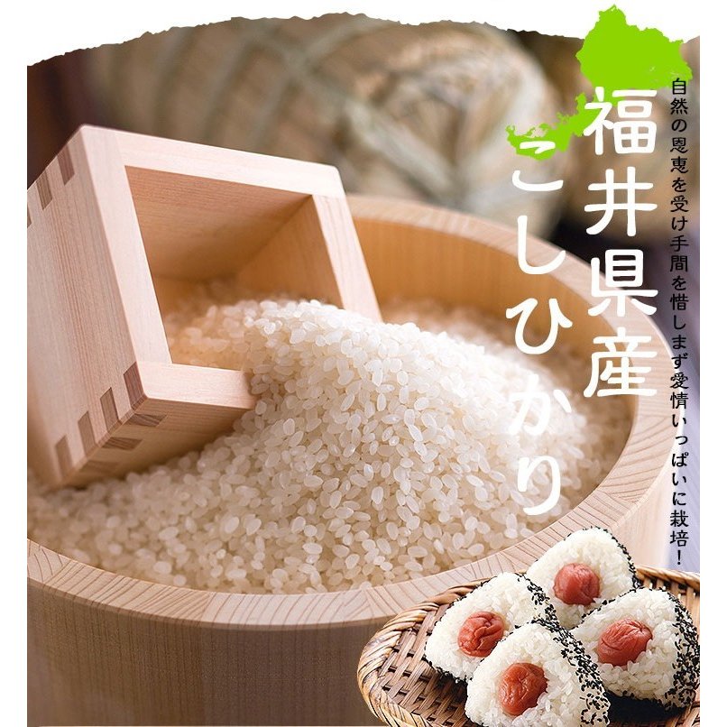 福井県産コシヒカリ 白米 5kg