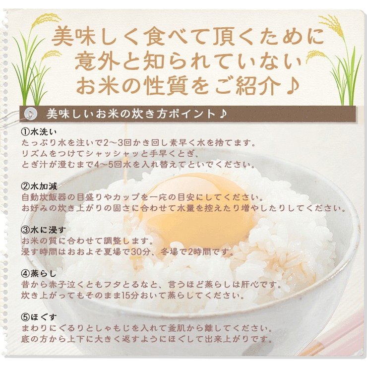 新米 福井県産コシヒカリ 白米 10kg(5kg×2)