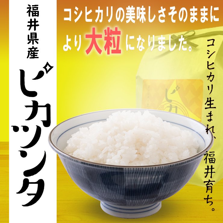 福井県産ピカツンタ 白米 10kg(5kg×2袋)