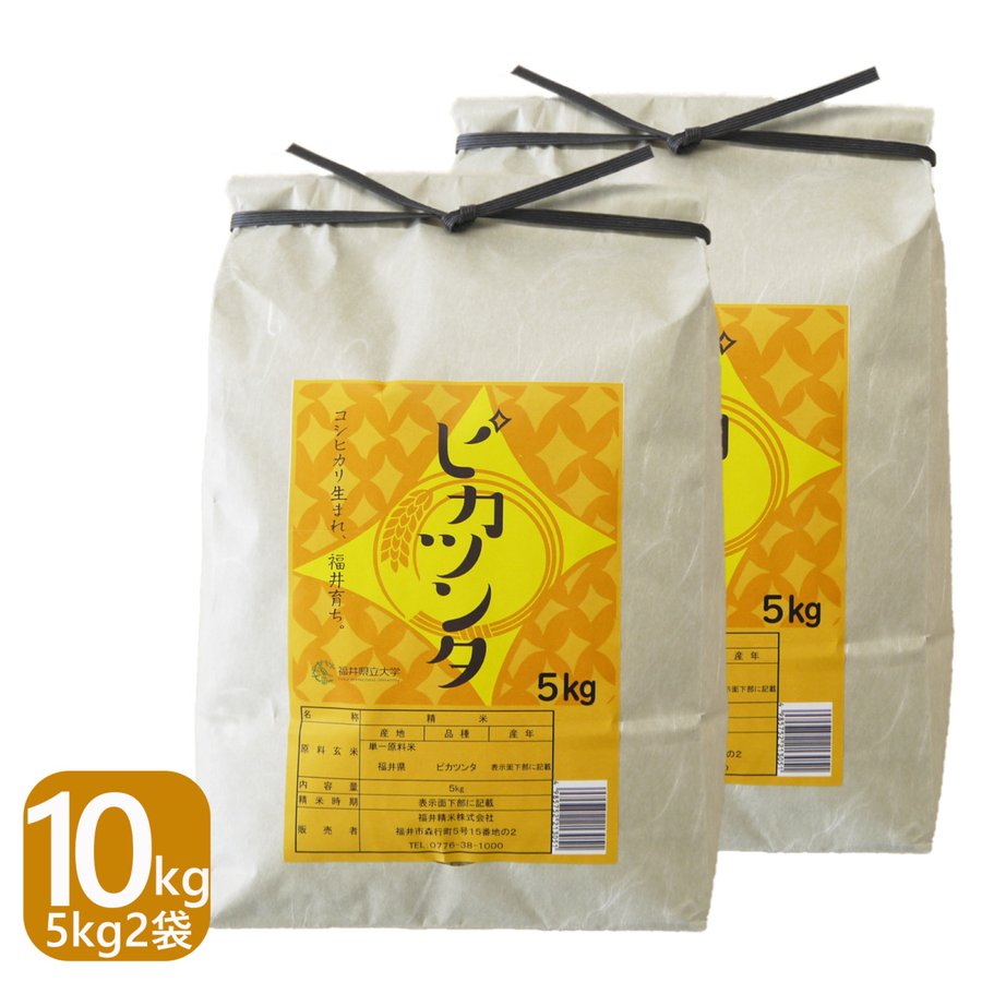 福井県産ピカツンタ 白米 10kg(5kg×2袋)