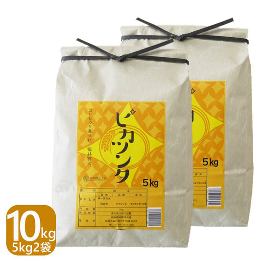 福井県産ピカツンタ 白米 10kg(5kg×2袋)