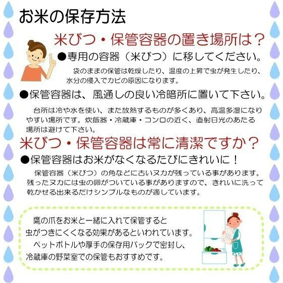 無洗米 美膳20kg(5kg×4袋) 国内産100%