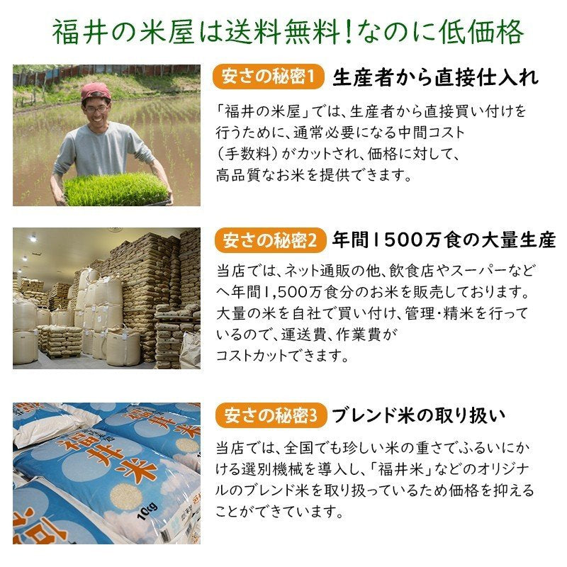 福井米 白米 20kg(10kg×2) 福井県産米100％ブレンド米