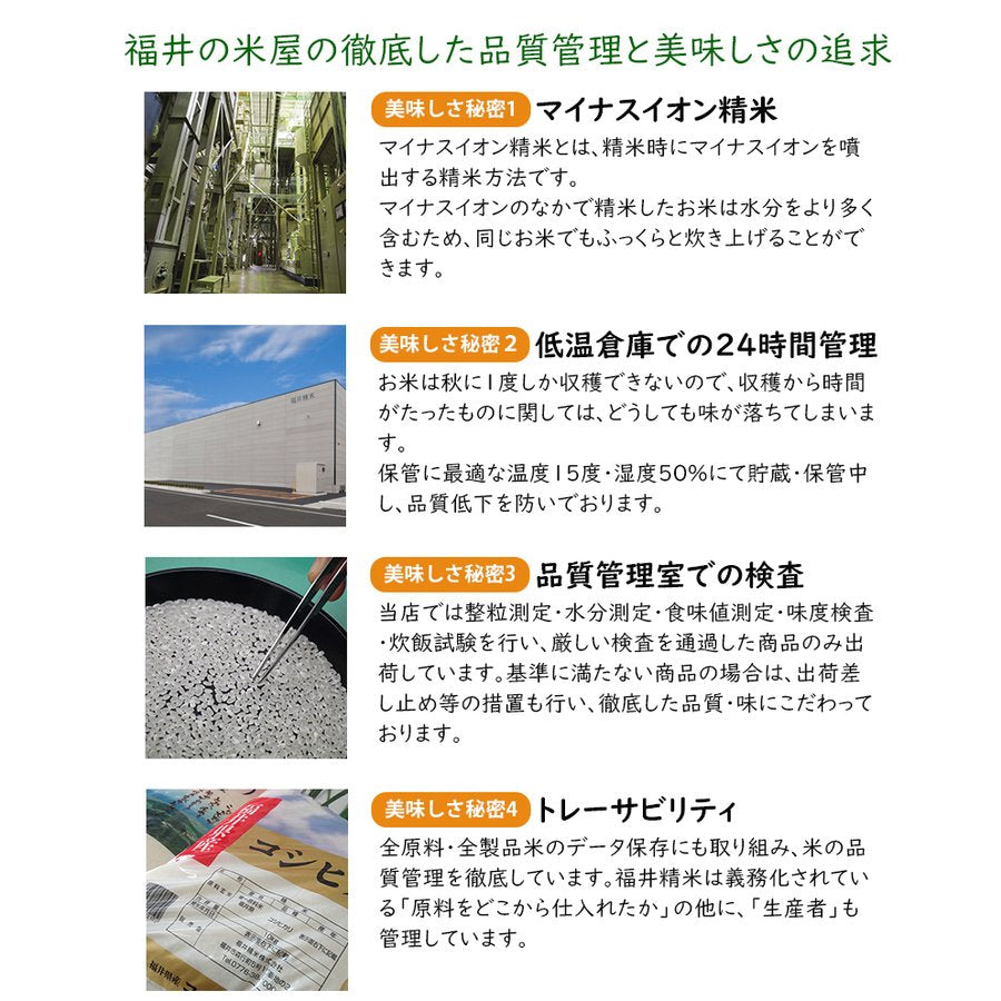 福井米 白米 20kg(10kg×2) 福井県産米100％ブレンド米