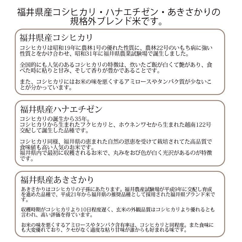 福井米 白米 20kg(10kg×2) 福井県産米100％ブレンド米