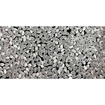 福井米 白米 20kg(10kg×2) 福井県産米100％ブレンド米