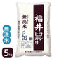 福井県産コシヒカリ 無洗米 5kg