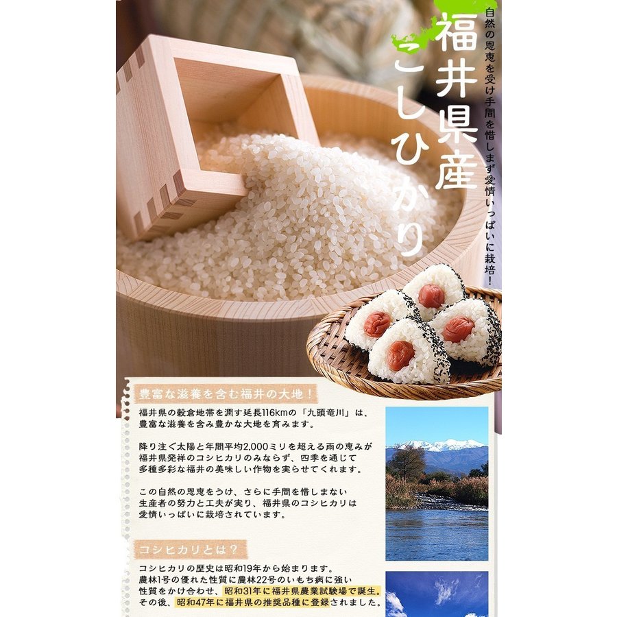 福井県産コシヒカリ 無洗米 20kg(5kg×4)