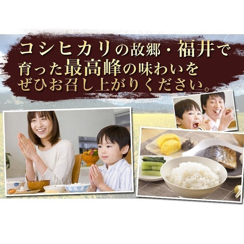 福井県産コシヒカリ 無洗米 5kg