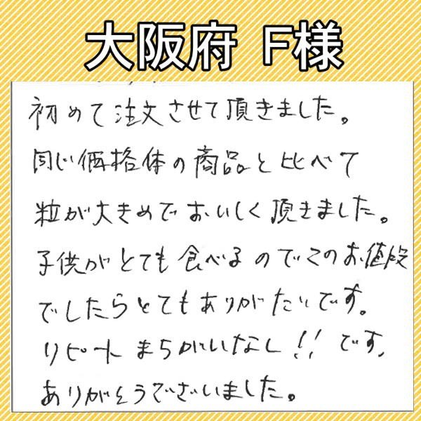ひかり精米 白米 20kg(10kg×2袋) 国内産100% 生活応援米