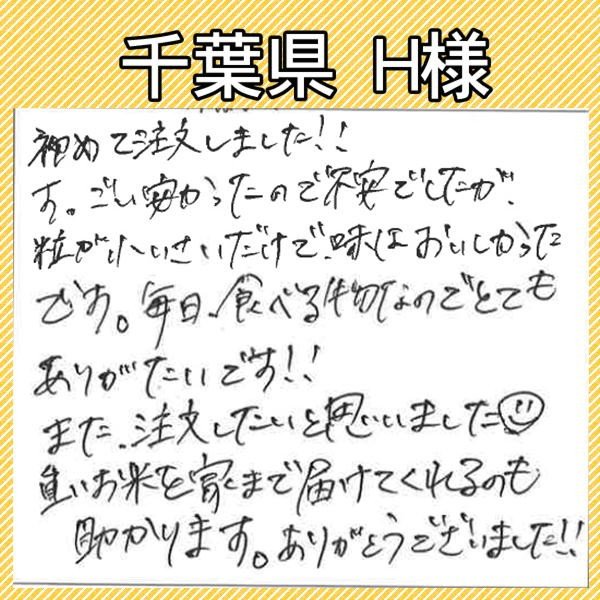 ひかり精米 白米 20kg(10kg×2袋) 国内産100% 生活応援米