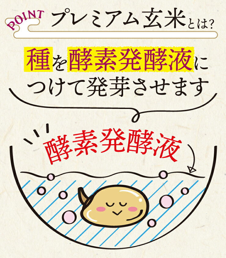 酵素発酵プレミアム玄米　 あきたこまち　 900g