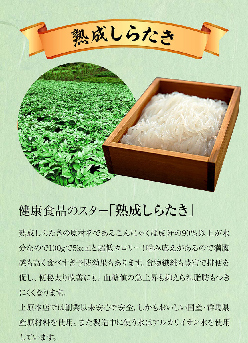【限定クーポンで20%OFF】10パック 1パック130g×10　しらたき 革命! ガーリックしらたき 国産 おつまみこんにゃく
